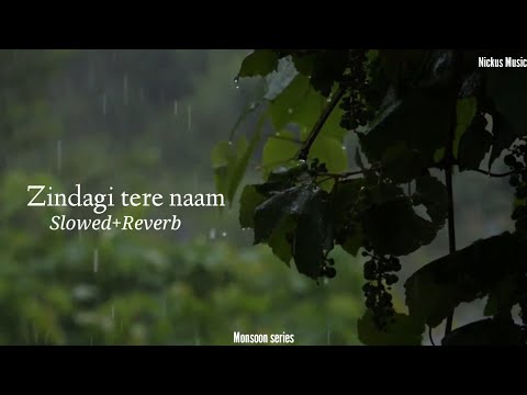 Zindagi tere naam❤️+ Rain Sound || Monsoon Series || Lofi Song|| Nickus Music 🎵