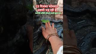 सोमवार अष्टमी कामना पूर्ति का उपाय अवश्य करें ? #baba #shiv #upay #pradeepmishra #katha #shorts #yt