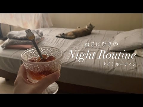 【猫とゆるやかな夜】ナイトルーティンの巻