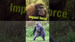 GIANTOPITHECUS vs GORILLA — Who’s the Ultimate Beast? 🔥🦍