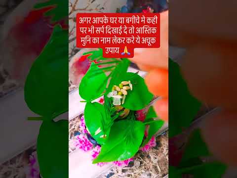 नागपंचमी के दिन आस्तिक मुनि का नाम लेकर करे ये उपाय 🙏🙏 #love #upay #pradeepmishrajidhankeupay #शिव