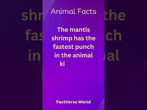 Animal Facts #animals #viralshorts #animalfacts