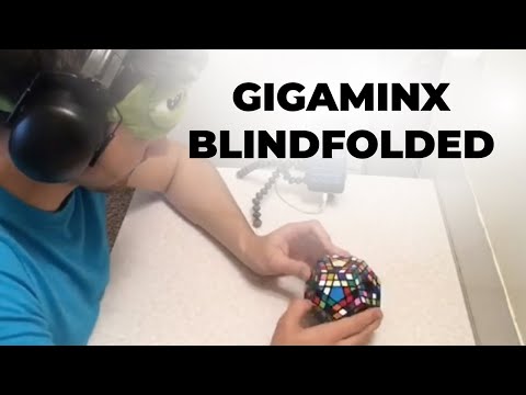 Gigaminx Blindfolded World Record