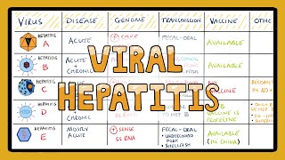 Viral Hepatitis Comparison in 3 Minutes - What are the different types of Viral Hepatitis?