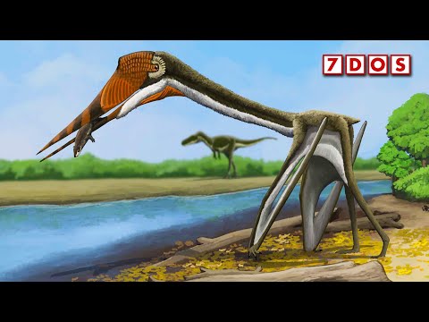 An Ancient Flying Reptile Named ‘The Dragon From Hell’