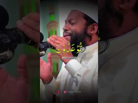 Islamic Beautiful Ayat: Islamic short video