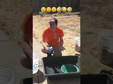 Gold!!! #diy #goldmining #goldfever #goldminer #gold #asmr #panningforgold #panning #fun #babyoil