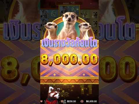 เข้าฟรีแจกไปเลย 31000 !!!  PG : SafariWilds แตกยับ PG พาปั่นสล็อต  สล็อตpg Day 1