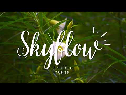 Skyflow – Uplifting Summer Vibes | Chill & Relaxing Music