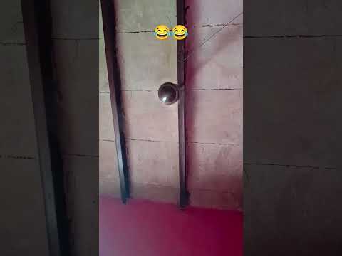 बताओ पंखा बन्द होरहाहे या चलरहा है क्या❤️❤️#trending #shortvideo #video