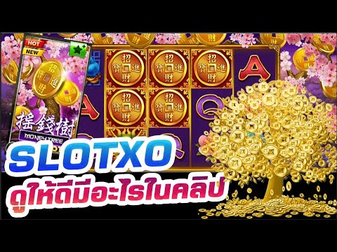 สล็อตxoแตกง่าย เกมมันนีทรี  Money tree ล่าสุด 🔴 By น้องหมวย แจกในคลิป!!