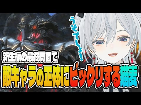 【修正版】新生エオルゼア最終局面！敵キャラの正体にビックリ麦！自主規制入れ直したけどネタバレ注意かもです！ - FINAL FANTASY XIV｜© SQUARE ENIX【猫麦とろろ切り抜き動画】