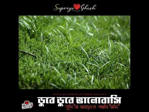 ডুবে ডুবে ভালোবাসি তুমি না বাসলেও আমি বাসি, ডুবে ডুবে ভালোবাসি তুমি না বাসলেও আমি বাসি।