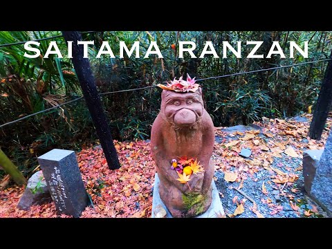 Saitama Mountain Walk in Ranzan【4K】- Japan Trip