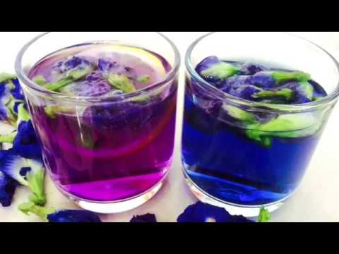 COLOR CHANGING BUTTERFLY PEA FLOWER TEA