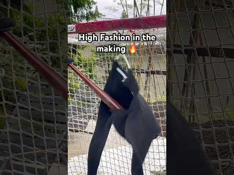 Attacking A sweatshirt to make Custom Streetwear #fashion #handmadeclothingbrand