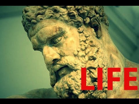 Life 🌎 Greatness | Gym motivation - Powerlifting & Weightlifting Motivation