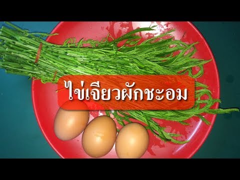 ไข่เจียวผักชะอมอร่อย วิธีทำง่ายๆ  ll เมนูไข่