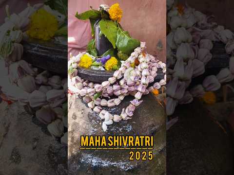 Maha Shivratri 2025#har har mahadav#lordshiva#hindurituals#shivratrivideo