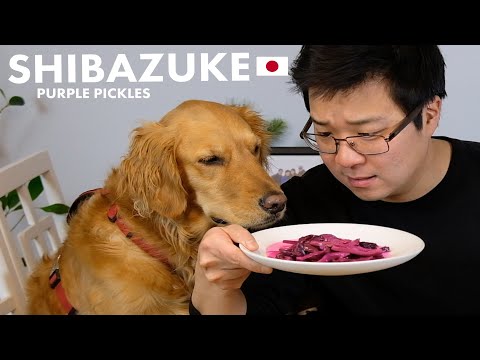THE LESSER KNOWN JAPANESE FOODS | Ep. 1 Shibazuke Purple Pickles
