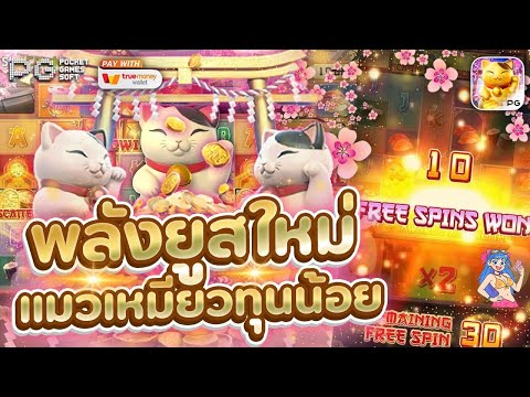 สล็อตpg สล็อตpgเว็บตรง เว็บสล็อตpg l เหมียวๆเกมโปรด แตกโหดเหมือนเดิมเลย