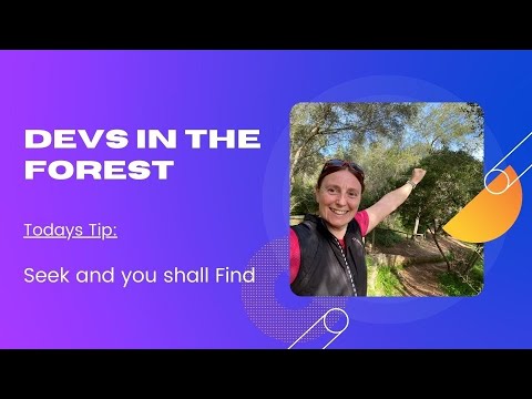 Devs in the Forest: Seek and you Shall Find