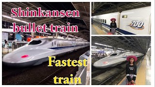Fastest Train in Japan | Shinkansen Bullet Train |  Shinkansen Bullet Train Experience