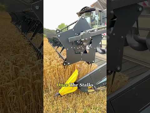 How Wheat Gets Separated in Seconds#agriculture #machinery #combineharvester #Knowledge