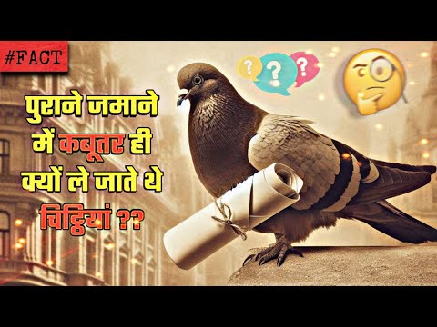 पुराने जमाने में कबूतर🕊️ ही क्यों❓ ले जाते थे चिट्ठियां📩 #facts