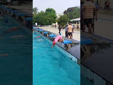 A penguin🐧 Dive in swimming pool