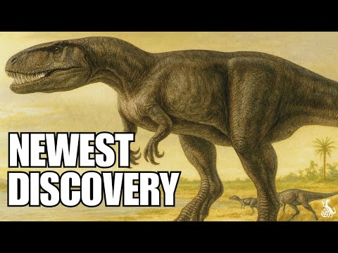 What Saurophaganax Really Was: New Fossil Evidence Reveals the Truth | Science Docummentary