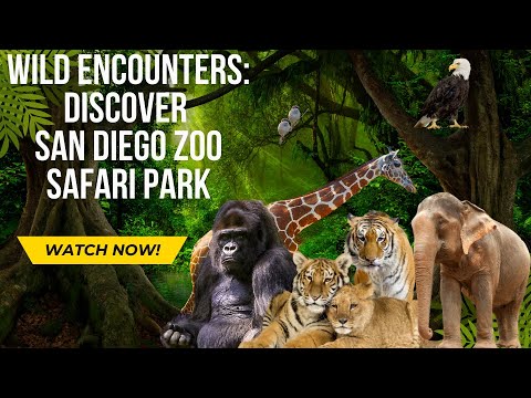 Let’s Explore the San Diego Zoo Safari Park-FULL VIDEO