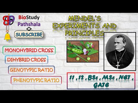 MENDEL'S LAW || MONOHYBRID CROSS & DIHYBRID CROSS || Genetics || Life Sciences