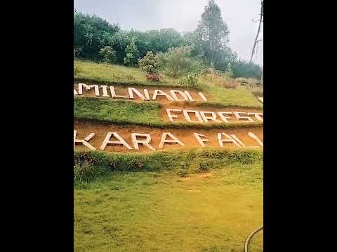 Beauty of Ooty and the reality of life #shortsvideo #travel #motivation #foryou