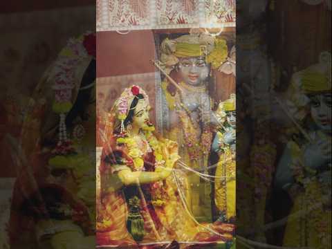 Radha Damodar #shorts #radheradhe #kartikmass #deepdan #iskconnoida
