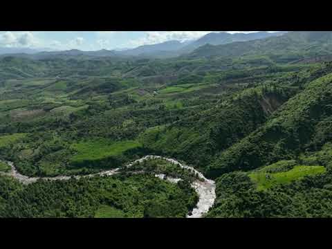 Mountains, Forests and Scorpions