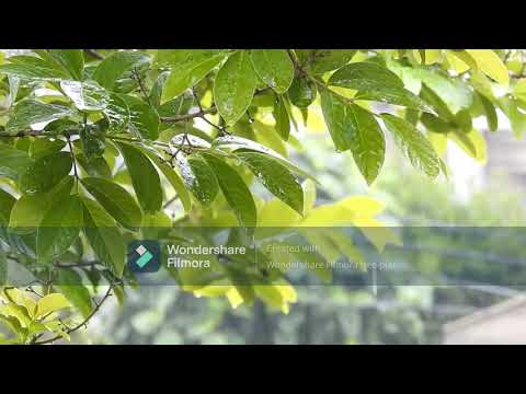 Relaxing Music Rainfall with Deep Sleep,Water sounds,Strees free,Relax Mind,Meditation music.