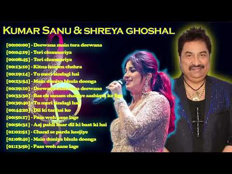 Hindi Melody Songs, Superhit Hindi Song , Kumar Sanu, Alka Yagnik & Udit Narayan 90's Hindi Songs