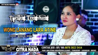 WONG LANANG LARA ATINE \\ COVER TARLING TENGDUNG CITRA NADA 2023 \\ NUNG UL QISMA