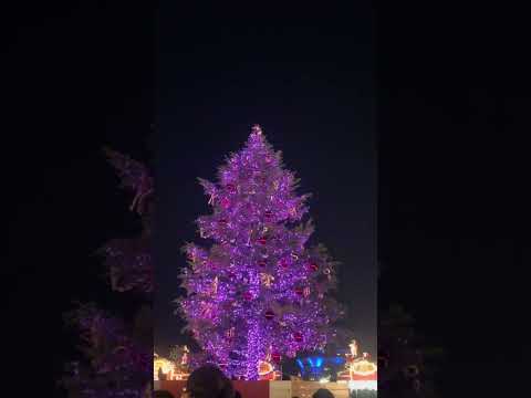 Magical Glimpse of Yokohama Christmas Market 🎄✨  |  #christmasintokyo #christmasmarket