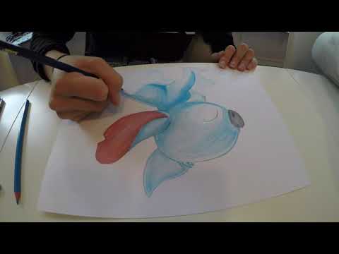 Timelapse