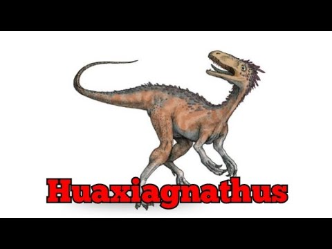 Todo sobre Huaxiagnathus orientalis