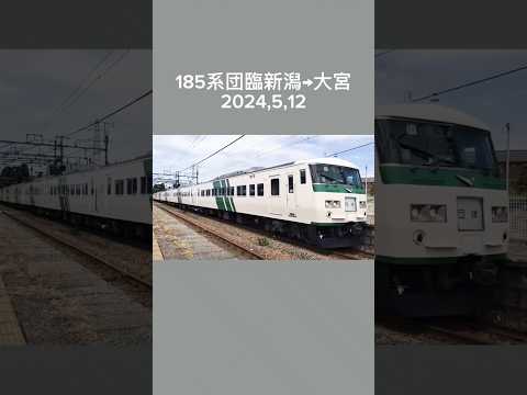 185系団臨新潟→大宮#鉄道 #train #電車 #185系 #団臨 #団体列車 #特急 #臨時 #臨時列車 #shorts #ショート