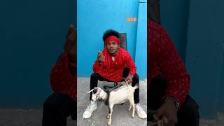 Please wear a new dress #shorts #youtubeshorts #shortsfeed #comedy #surajroxnewvideo #surajrox #v...