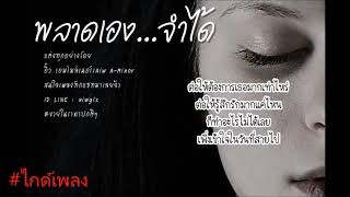 พลาดเองจำได้  ( ไกด์เพลง Aiw Aminer)