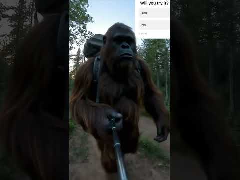 Everyone should be doing this #bigfoot #bigfootai #bigfootvlog #viral #funny #photorecreation #fun