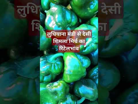 18 मार्च 2025 लुधियाना मंडी# शिमला मिर्च का रिटेल भाव#viralvideo