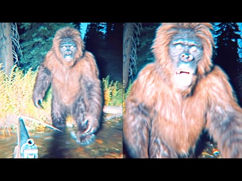 Ranger Encounters 17-Foot Sasquatch In Florida - DISTURBING BIGFOOT STORY