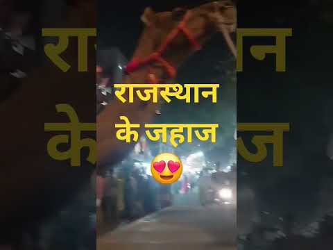 Short video #happy #love #rajasthan #rajsthani