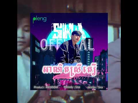 អាណិតស្រីតឿ - SNA OFFICIAL [ Music Audio ]